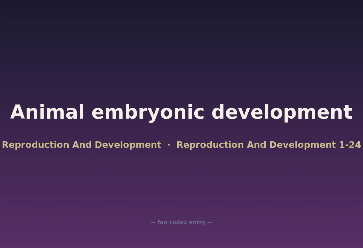 Animal embryonic development