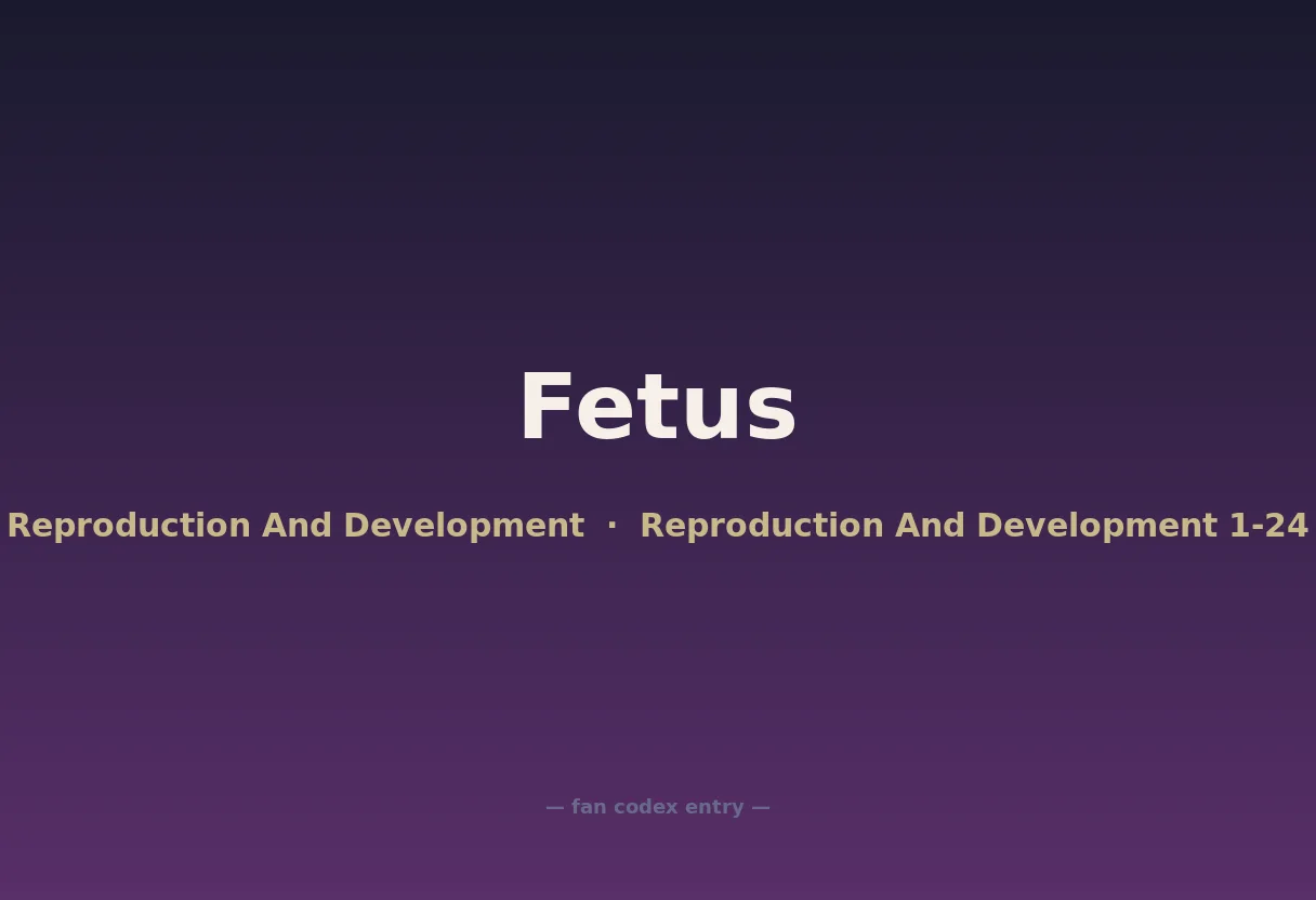 Fetus