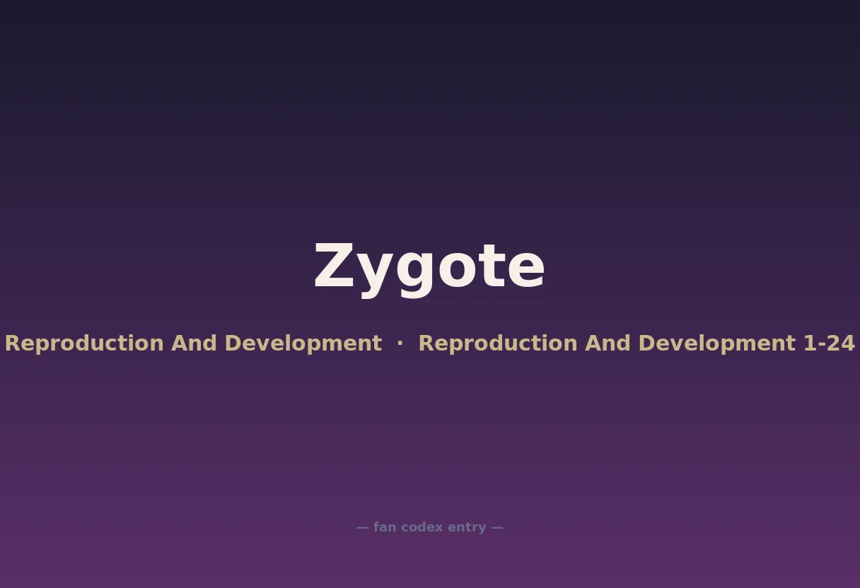 Zygote