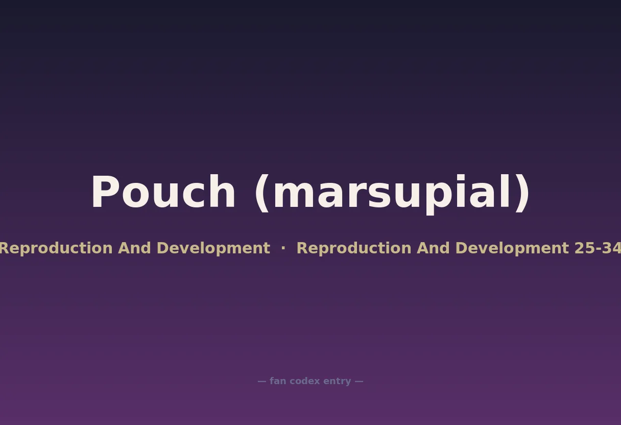 Pouch (marsupial)